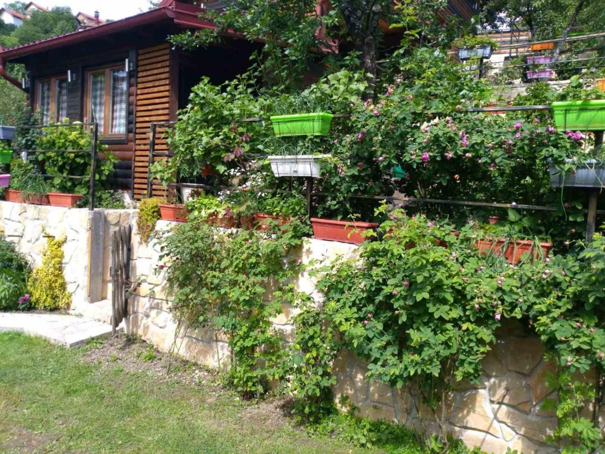The Bungalows Sarajevo Luaran gambar