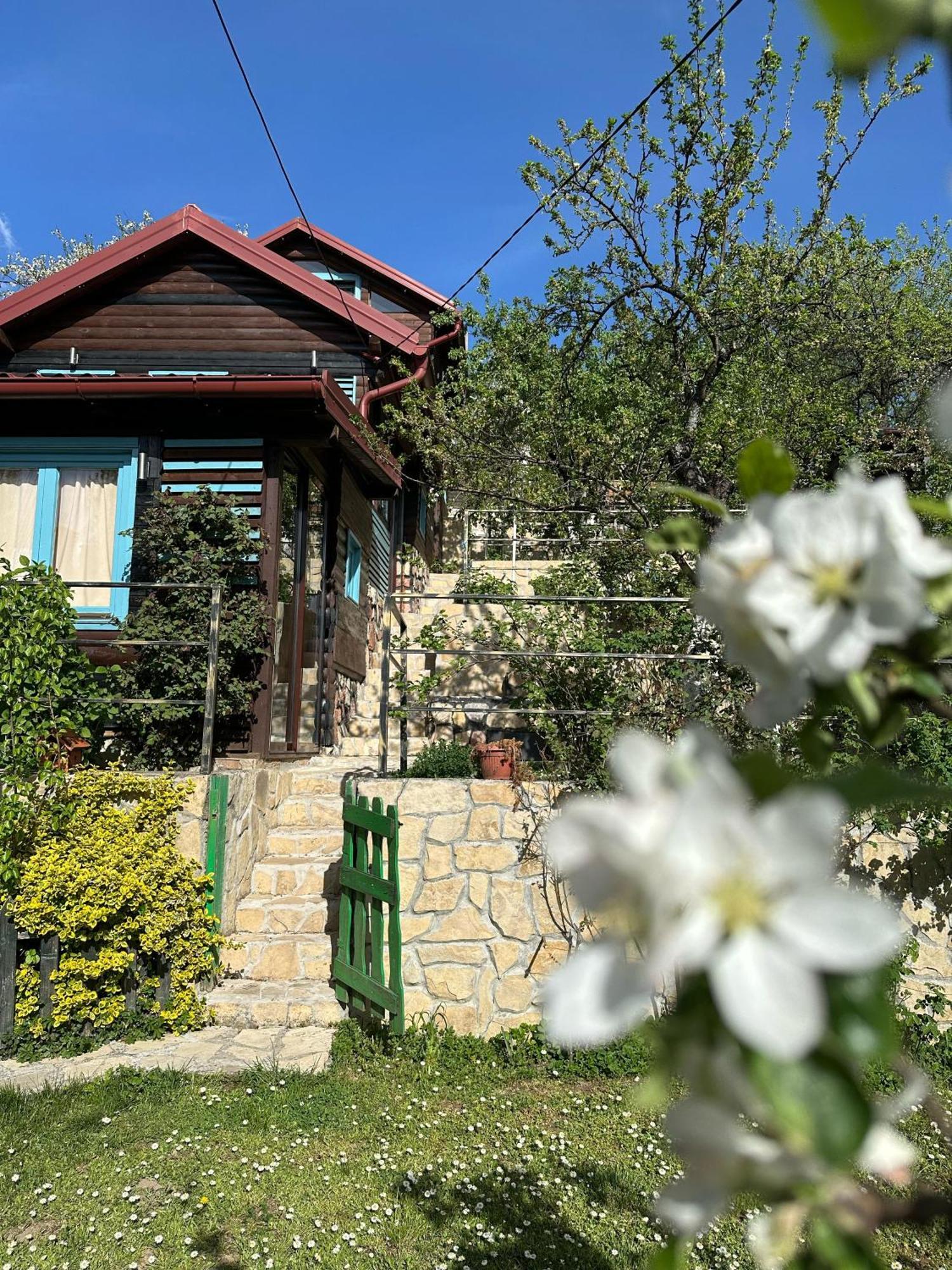 The Bungalows Sarajevo Luaran gambar